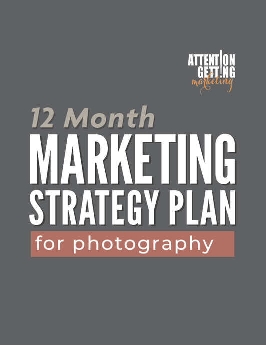 fine art photography store marketing plan strategy template pdf