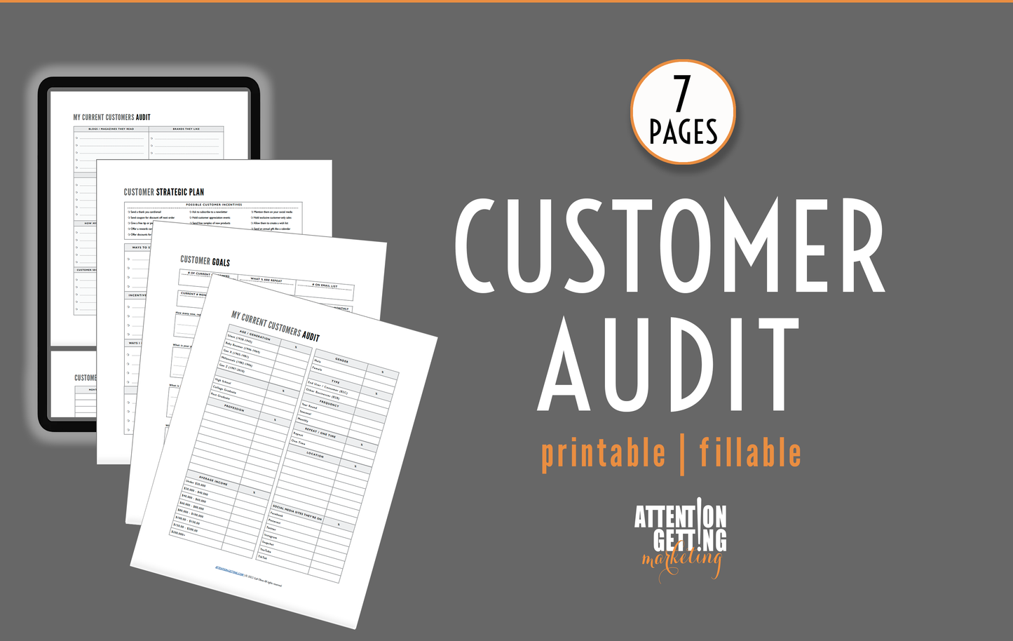 Customer Audit and Strategic Plan Printable PDF
